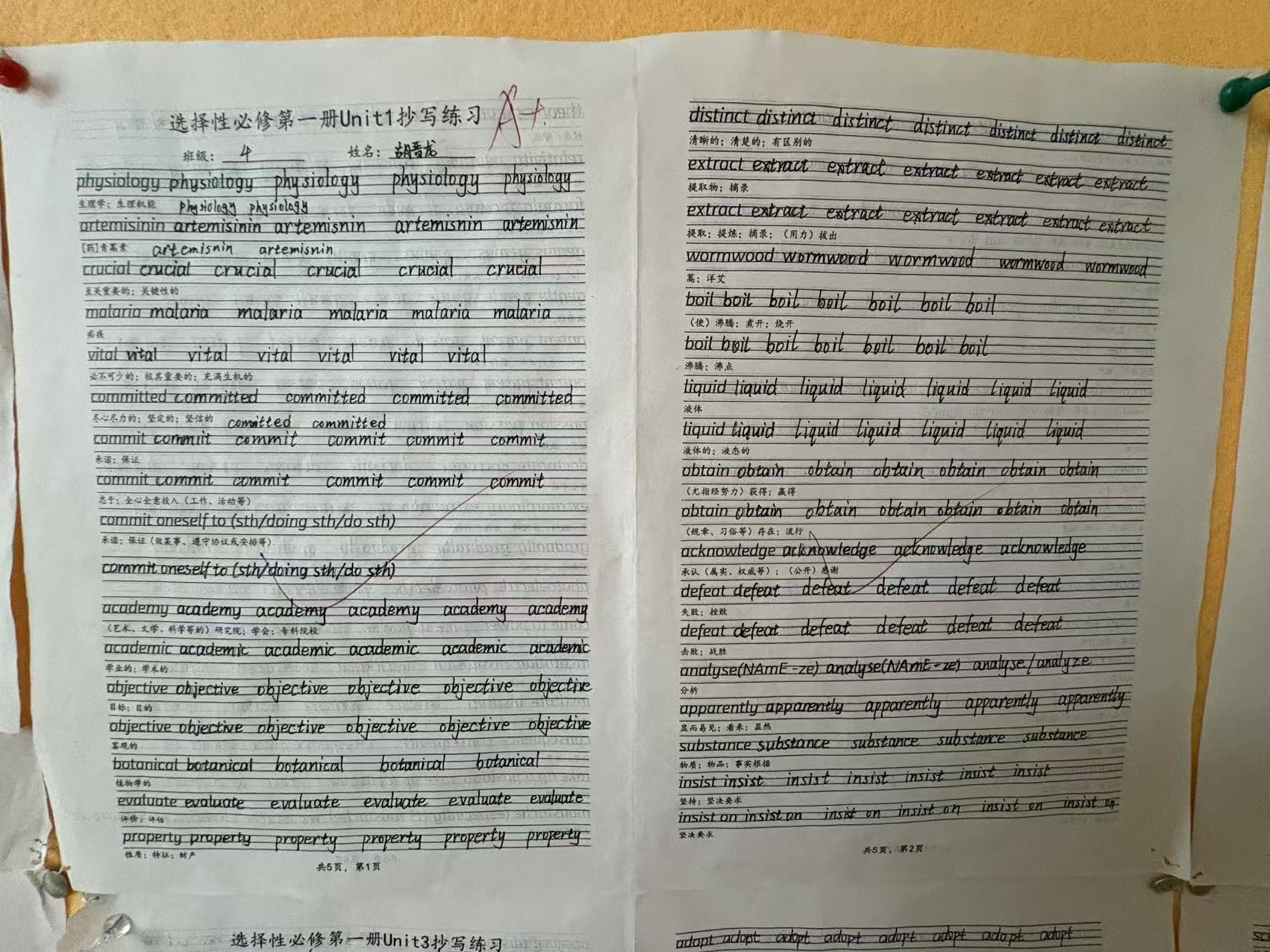 首页| 88858cc永利集团中国区官方网站